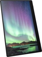 Ricoh 15.6" 150BW 16:9 FullHD Hordozható OLED Monitor - Fekete