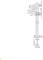 Equip 650167 17"-32" Monitor sztali tartó konzol - Fehér (2 kijelző)