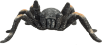 Mojo Wildlife Vöröstérdű tarantula figura 7 cm