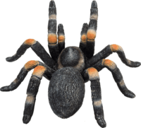 Mojo Wildlife Vöröstérdű tarantula figura 7 cm