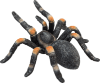 Mojo Wildlife Vöröstérdű tarantula figura 7 cm