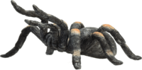 Mojo Wildlife Vöröstérdű tarantula figura 7 cm