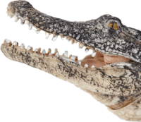 Mojo Wildlife Kézzel festett Alligátor figura mozgó állkapoccsal 20cm