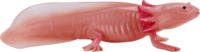 Mojo Wildlife kézzel festett Axolotl figura 9,5cm