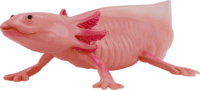 Mojo Wildlife kézzel festett Axolotl figura 9,5cm
