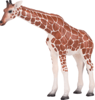 Mojo Kézzel festett Nőstény zsiráf figura 14cm