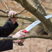 Felco 630 Klasszikus kézi fafűrész - 330 mm