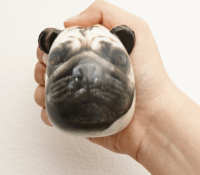 Kikkerland SB03-A kutyás stresszlabda - Többféle