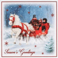 Iris 12 darabos Karácsonyi ajándék kártya csomag (14x14cm) - Többféle