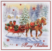 Iris 12 darabos Karácsonyi ajándék kártya csomag (14x14cm) - Többféle