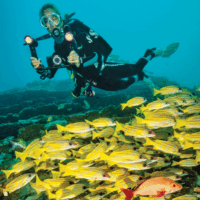 Sealife Micro 3.0 Pro Duo SL553 Búvárkamera készlet