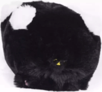 Interaktív pislogó plüss cica hangokkal - Fekete